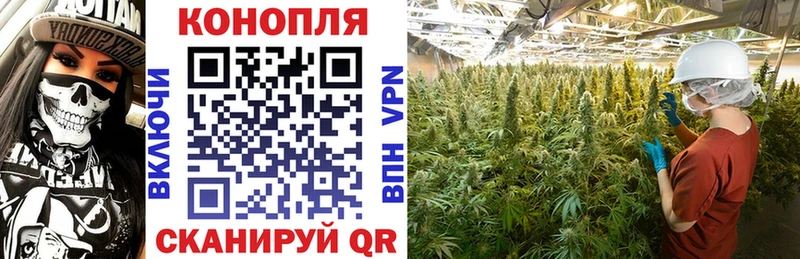 Купить наркотик Новосибирск ГАШИШ  Alpha-PVP  mega вход  Каннабис  Меф 