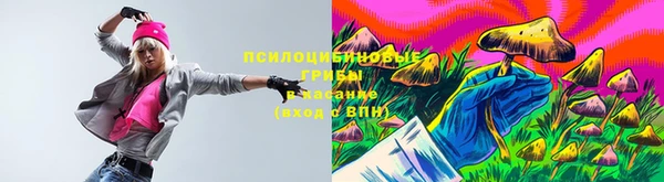 дживик Майский