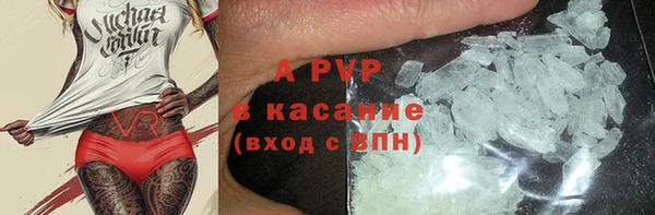 дживик Майский