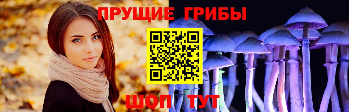 Галлюциногенные грибы мицелий Новосибирск